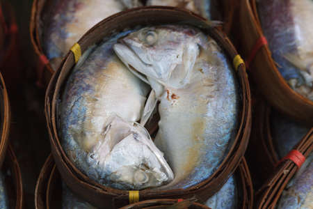 Thai Mackerel.の写真素材