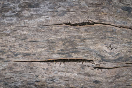 Old wood textureの写真素材