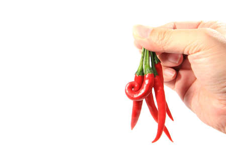 Red chili pepper in handの写真素材