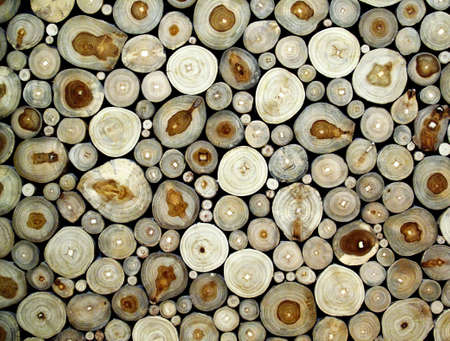 Wood abstract backgroundの写真素材