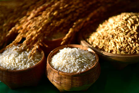 The grain in the wooden basket was placed paddy rice and rice on a green cloth background. Ideas for...