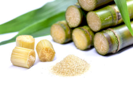 cane and cut sugarcane piece with  brown sugar isolated on a white background. selected focusの写真素材