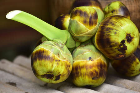 fresh Palmyra palm fruit and shell of Palmyra palm. Asian Toddy palm, Sugar palm.の写真素材