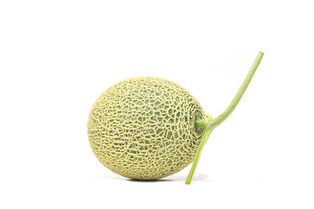 watermelon cantaloupe or Fresh honeydew isolated on a white background.の写真素材
