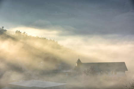 Beautiful Wild Himalayan Cherry. pink blossom Sakura flower or Prunus Cerasoides full bloom in Ban Mai Rong Kla Village with natural high area at Phu Lom Lo Mountain Loei, and Phitsanulok, Thailand.の写真素材