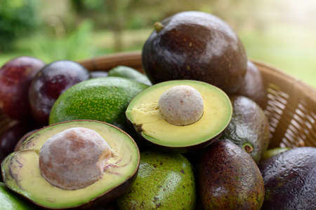 Avocado on an wooden basket, half on a fruit, concept healthy food.の写真素材
