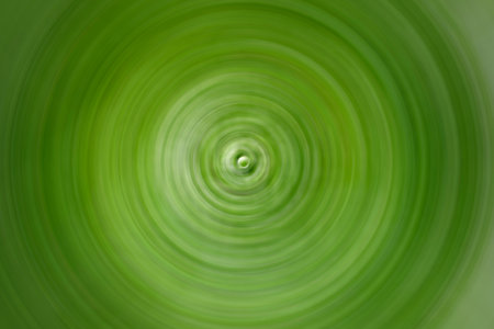 Green abstract blur circles natural green leaves blur texture background.