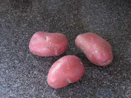 Three pink potatoes displayed on a counterの写真素材