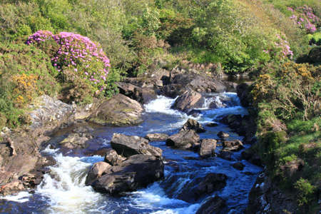 A small stream with some white water rapids flowing through an ares with colourful vegetationの写真素材
