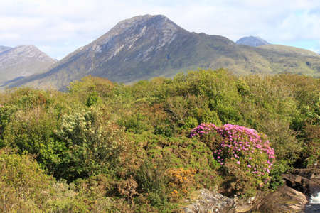 Some mountains with thick vegetation in front of themの写真素材