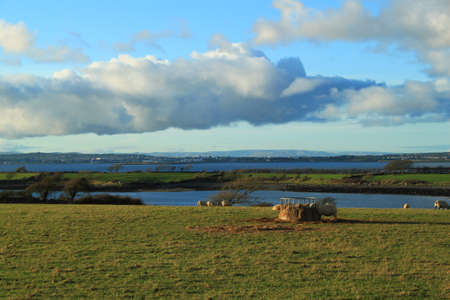 A rural scene with a view of Galway Bay in the backgroundの写真素材