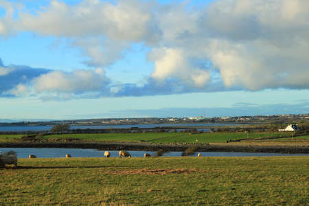 A landscape with sheep taken in Co. Galway, Ireland.の写真素材