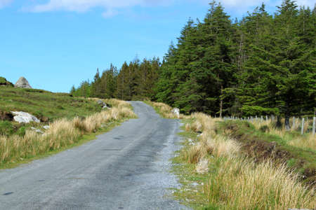 A view of a country road with a forest to the right in Connemara, co  Galway, Irelandの写真素材