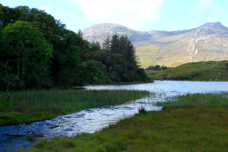 Rural scene with trees, water and a mountainの写真素材