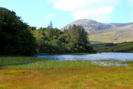 Rural scene with trees, water and a mountainの写真素材