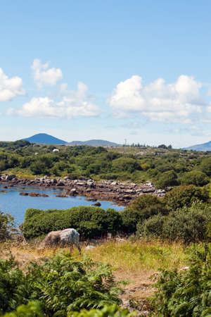 A rugged landscape in Connemara, Co. Galway, Ireland.の写真素材