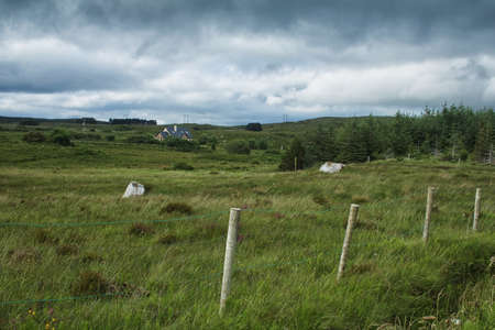 A landscape with a house , some coniferous trees and a fenceの写真素材