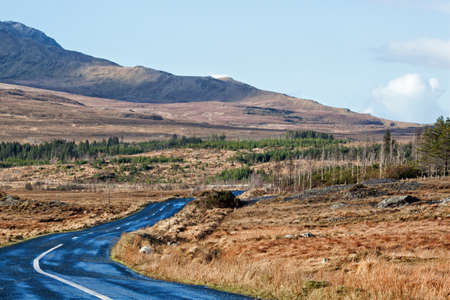A landscape showing a road through a valley with trees and a distant mountainの写真素材
