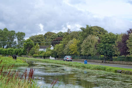 A landscape featuring a trees, road and water.