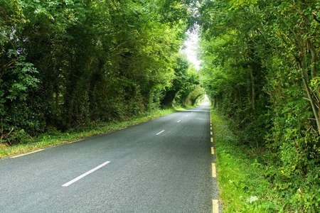 Looking down into a deserted country road