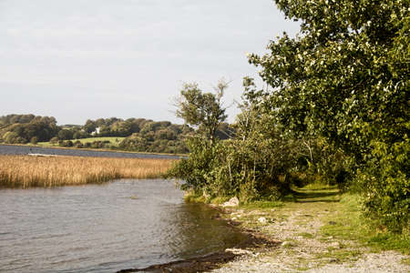 A photograph taken on the shore of a riverの写真素材