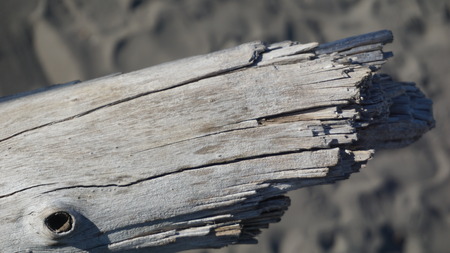 wood motif, wood texture can be used as the background of a pictureの写真素材