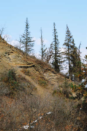 Rocky slope of the mountain in the autumn forest. The slopes of the mountain are covered with trees.