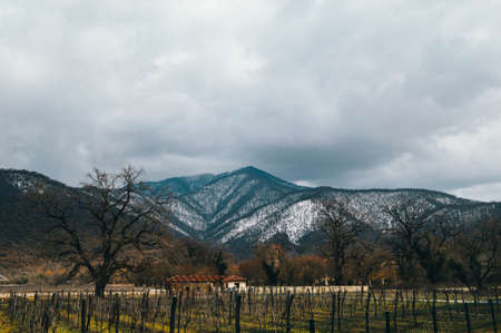 Landscape with vineyards and mountains covered with snow in autumn.