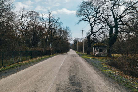 Empty country road in the middle of the forest with trees in the backgroundの写真素材