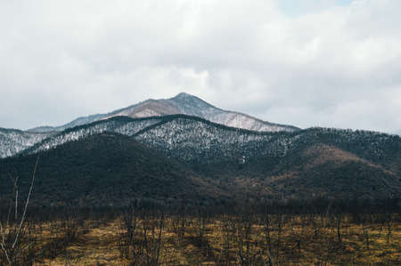 Landscape of forest and mountains covered with snow on a cloudy dayの写真素材