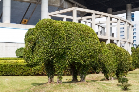 The Bending tree of elephant and child bonsaiの写真素材