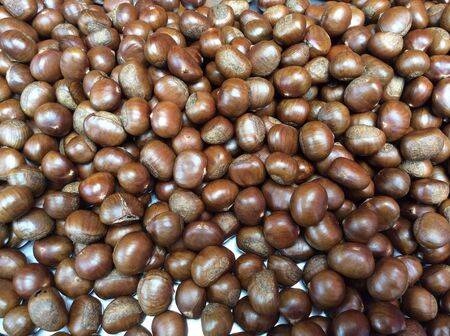 Chestnut close up shoot.の素材