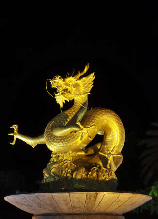 Golden gragon  Phuket Thailandの写真素材