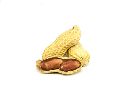 Peanut isolated on white background の写真素材