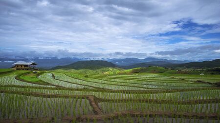 The Rice Terraces.の写真素材