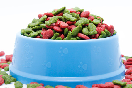 bowl with cat feedの写真素材