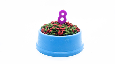 A bowl of pet food