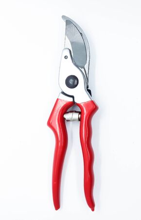 wire cutter or plierの写真素材