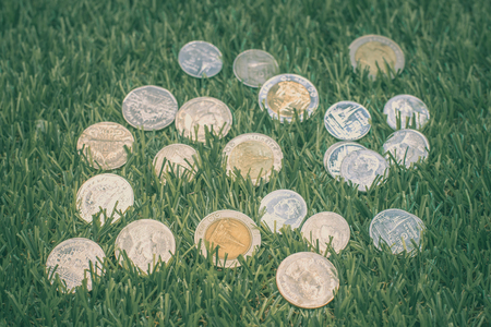 Thai baht coins with grass in background, Thai currency for exchange, save and invest.の写真素材