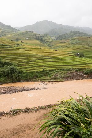 Beautiful landscape of rice terrace fields in Mu Cang Chai, Vietnamの写真素材