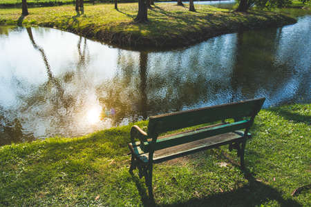 A bench with nature at Sunset.の写真素材