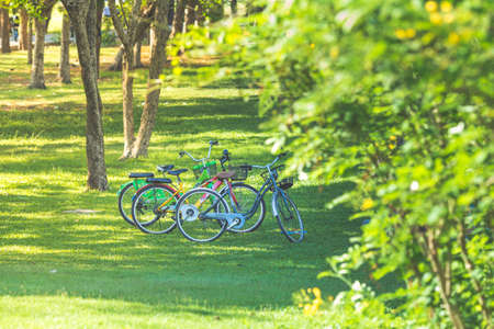 Bangkok, THAILAND - April 20 2017 : bicycles parked in popular parks,Vachirabenjatas Parkの写真素材
