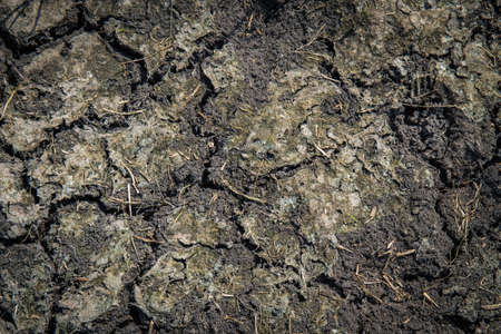 Dry clay wallpaper,cracked soil
