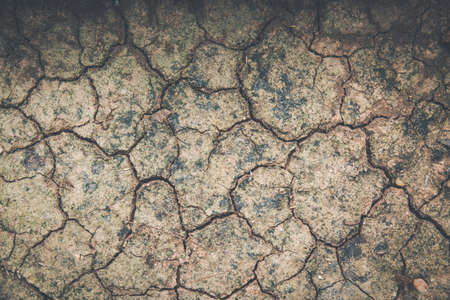 Wallpaper, cracked soilの写真素材