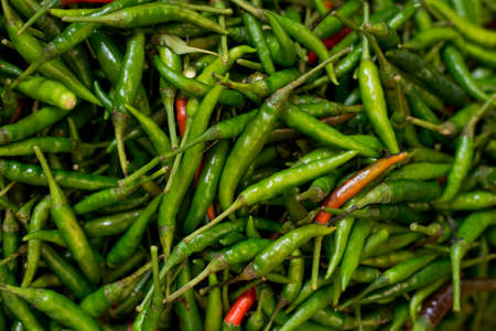Pile of fresh chilli peppers.の写真素材