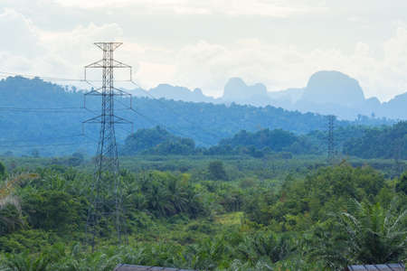 High Voltage Poles, Backgrounds Forests and mountainsの写真素材