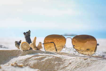 Sunglasses and Coral on the sand.の写真素材