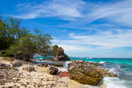 Beautiful rocky beach with tree by the sea.の写真素材