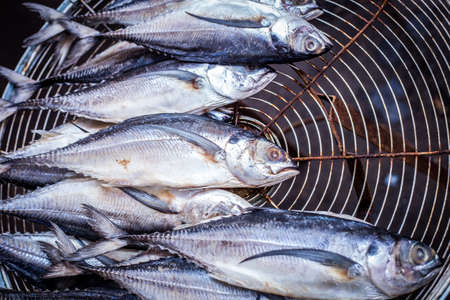 Dried mackerel on the grill,Thai food style,Salted fishの写真素材
