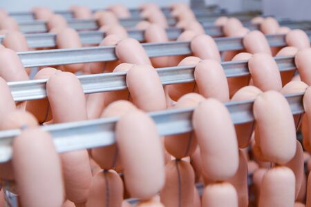 Sausage and sausage production technology. Production of semi-finished products.Food industry.